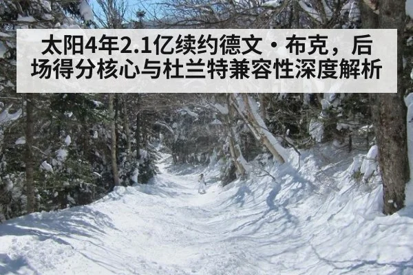 太阳4年2.1亿续约德文·布克，后场得分核心与杜兰特兼容性深度解析